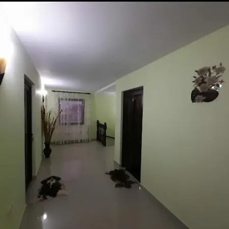 Casa Dor De