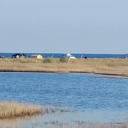 Casa Dor De Дом отдыха Salcioara (Dobruja)