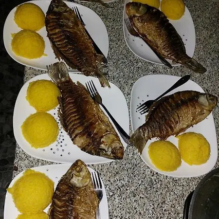 Casa Dor De Salcioara (Dobruja)