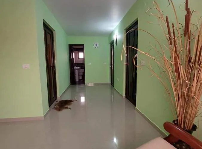 Casa Dor De Salcioara (Dobruja)