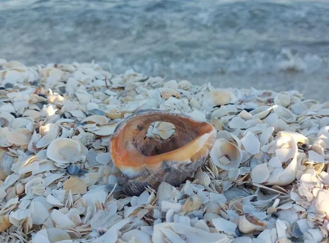 Casa Dor De Дом отдыха Salcioara (Dobruja)