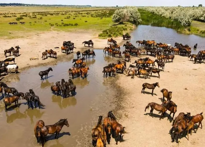 Casa Dor De Дом отдыха