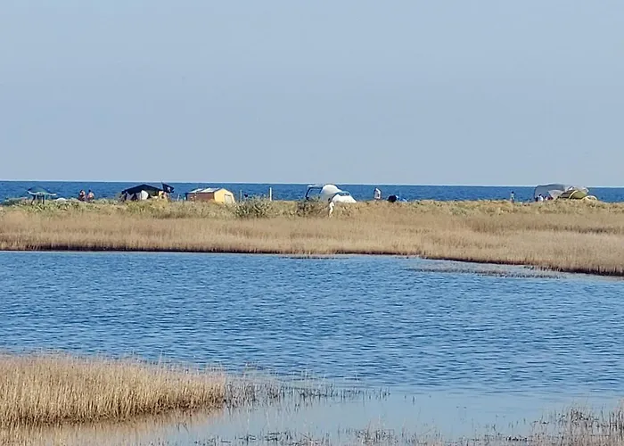 Casa Dor De Дом отдыха Salcioara (Dobruja)