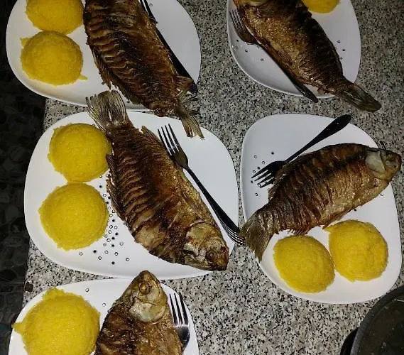 Casa Dor De Salcioara (Dobruja)