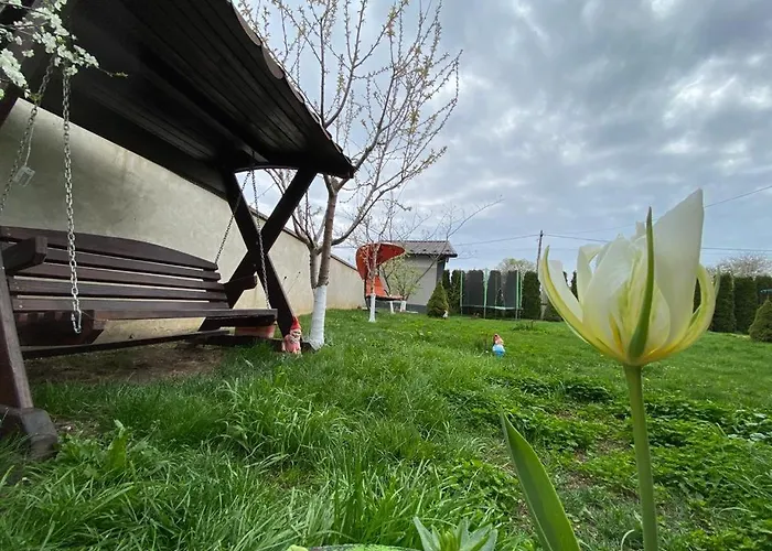 Casa Dor De Дом отдыха Salcioara (Dobruja)