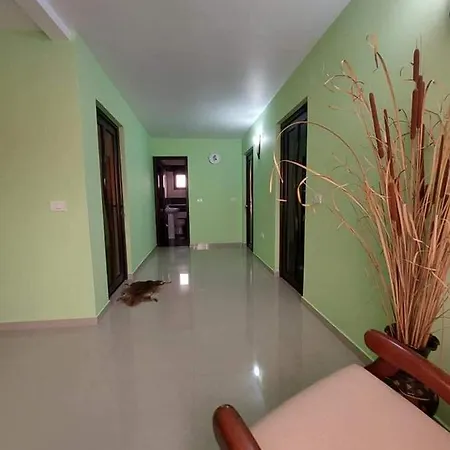 Casa Dor De Salcioara (Dobruja)