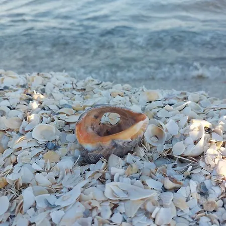 Casa Dor De Prázdninový dům Salcioara (Dobruja)