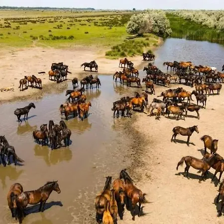 Casa Dor De Prázdninový dům