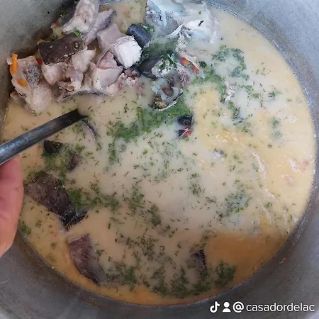 Prázdninový dům Casa Dor De *